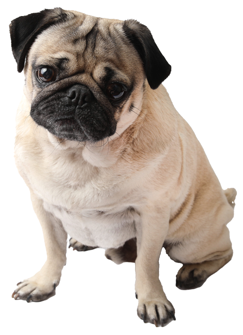 Doug looking in the mirror.