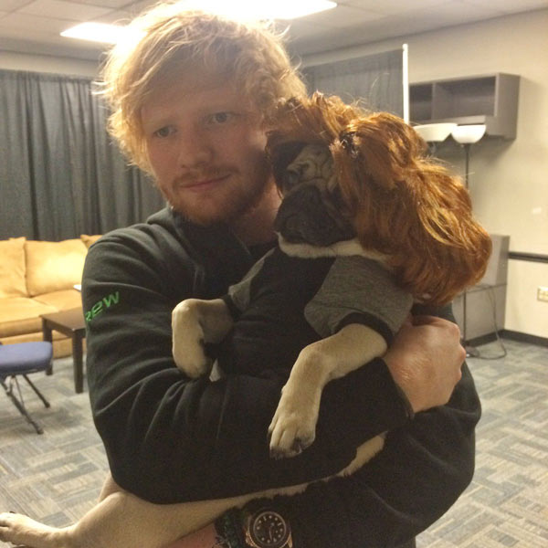 Doug with Ed Sheeran